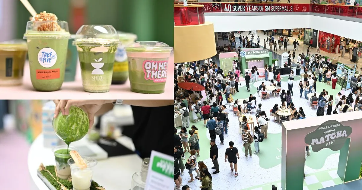 Matcha Bar Hire for Exhibitions and conferences In belgium